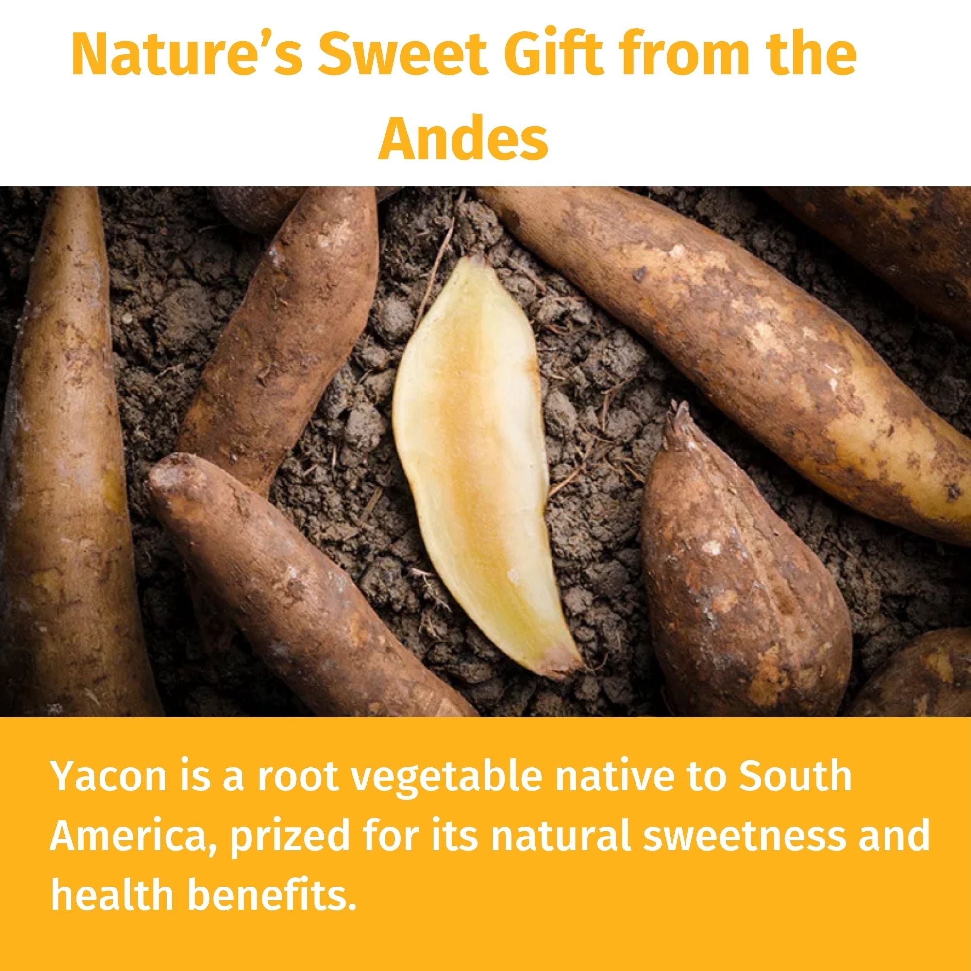 Yacon Syrup