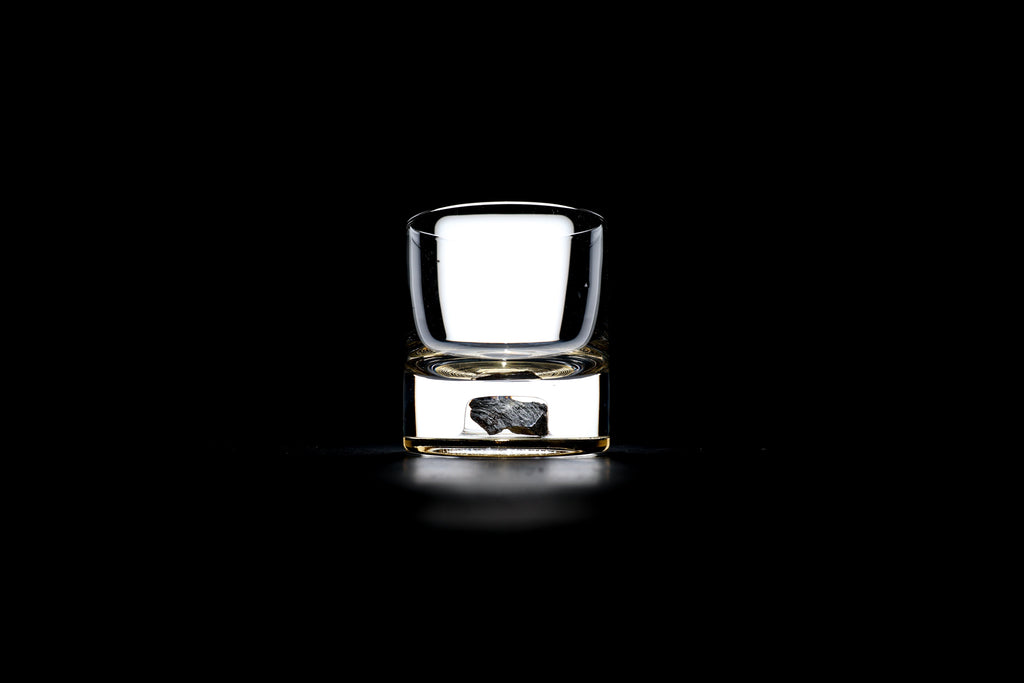 Dinosaur Bone Shard Tumbler (Series II) - Set of 2