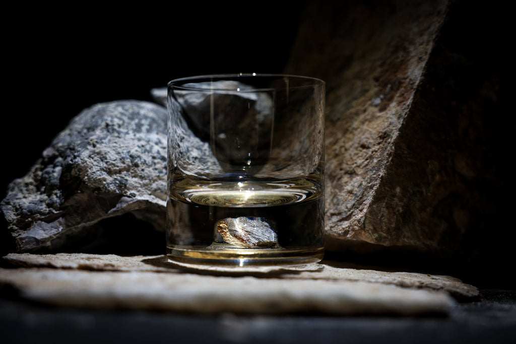 Dinosaur Bone Shard Tumbler (Series II) - Set of 2