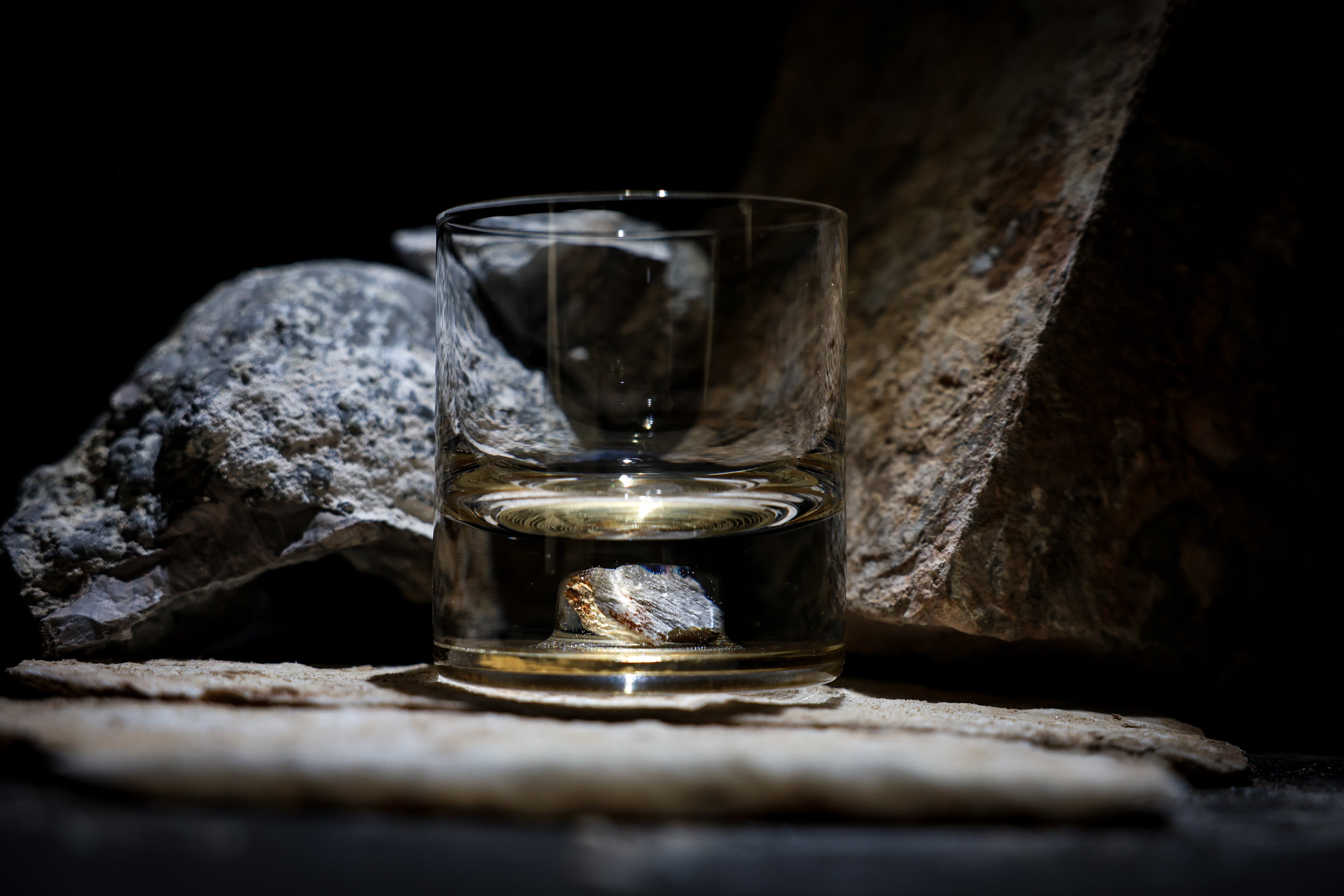 Dinosaur Bone Shard Tumbler (Series II) - Set of 2